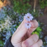 Caroline Berlin - @crilone - Instagram