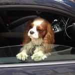 Caroline Beasley Ingalls - @carolinebingalls - Instagram