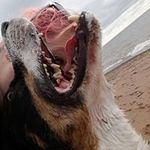 Caroline Blain - @lutine.desmarais.5 - Instagram