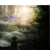 Caroline blau  - @coco1276602 - TikTok