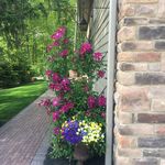 Caroline Zimmerman Bloom - @caroline.bloom.562 - Instagram