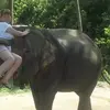 Caroline Boland - @caroline.boland2 - TikTok