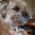 Caroline Bonehill - Facebook