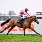 John and Caroline Bourke - @longrove_stud - Instagram