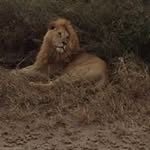 Caroline Boyle - @carolineboyle937 - Instagram