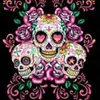 caroline.bradley.549 - @cmb_brat83 - TikTok