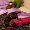 Carolyn Brant540 - @carolynbrant540 - TikTok