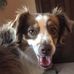Carolyn Cantrell - Facebook