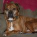 Caroline Chadwick - Facebook