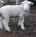 Caroline Cope - Facebook