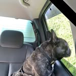 Caroline Crook - @crooky59 - Instagram