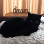 Caroline de Clercq - @caroline.declercq.5205 - Instagram