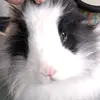 Caroline Declercq - @carolinedeclercq0 - TikTok