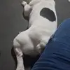 Caroline Declercqehdjffjfj - @caroline.declercq1 - TikTok