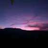 carolinebadell - @caroline.dell - TikTok