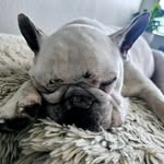 Caroline Dennington - @mamakarolina4 - Instagram