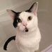 Carol Deters - Facebook