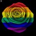 Caroline Devine - Facebook