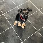 Caroline Devine - @carolinedevine37 - Instagram