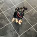 Caroline Devine - Facebook