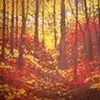 Carol Dillingham - @carol.dillingham6 - TikTok