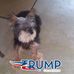 Carolyn Dillingham - Facebook