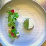 Caroline Dittmann - @sharastenzel962 - Instagram
