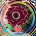 Caroline Dollery - Facebook