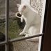 Caroline Donovan - Facebook