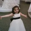 carolinedonovan_ - @carolinedonovan_ - TikTok