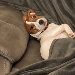 Caroline Doody - @doodyc1282 - Instagram