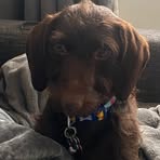 Caroline Duff - Facebook