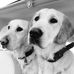 Caroline Dufour - Facebook