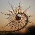 Caroline Dufour - Facebook