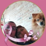 Caroline Eddy Vandamme Berteel - @vandamme_caroline_eddy_berteel - Instagram