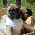 Carol Exum - Facebook