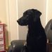 Caroline Falconer - Facebook