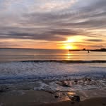 Caroline Falconer - @carolinemfalconer - Instagram