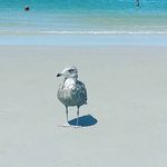 Caroline Farris - @camfarris - Instagram