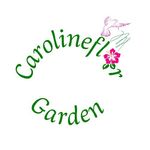 Caroline_Flor_Garden - @carolineflor_garden - Instagram