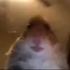 Caroline Fogle - @keenerscreek - TikTok