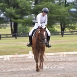 Caroline Ford - @clf.eventing - Instagram