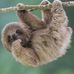 Carol Foreman - Facebook