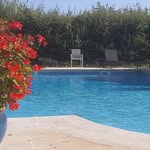 Forlini Caroline - @lemasdesprevots - Instagram