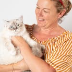 Forlini caroline - @mybluesbirmancats - Instagram
