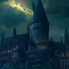 hermione_forlin - @forlincaroline - TikTok