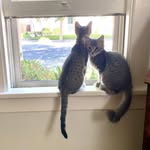 Caroline Forman - @carolineforman - Instagram