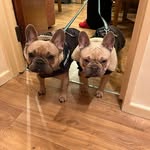 Caroline Frampton - @carolinepframpton - Instagram