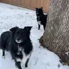 carolinefrances01 - @carolinefrances01 - TikTok