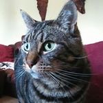Caroline Franks - @cfranks2010 - Instagram